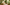 plante-chambre-sommeil