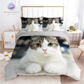 Housse de Couette Chat 140x200