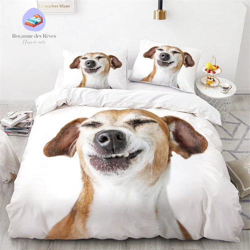  Grappige hond