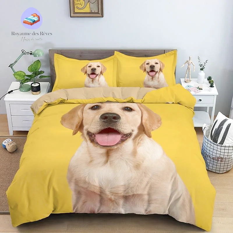 Labrador Jaune