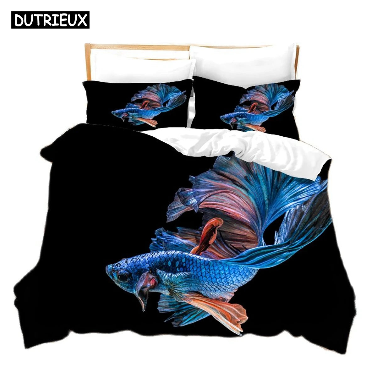 Poisson Betta Splendens - aquariophile