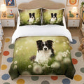 Border Collie mignon - Border Collie mignon