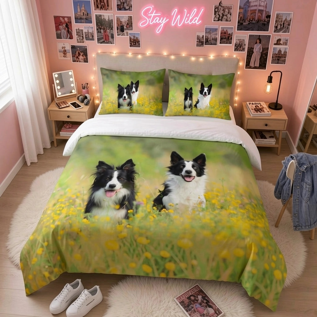 Deux Border Collies - Border Collies