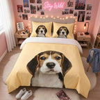 Chiot mignon - chiot beagle 2