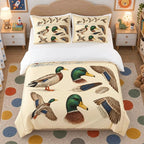 Chasse - Colvert